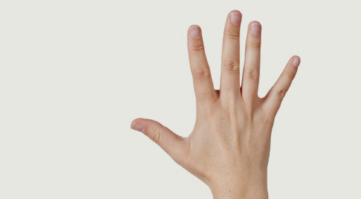 Fünf-Finger-Modell